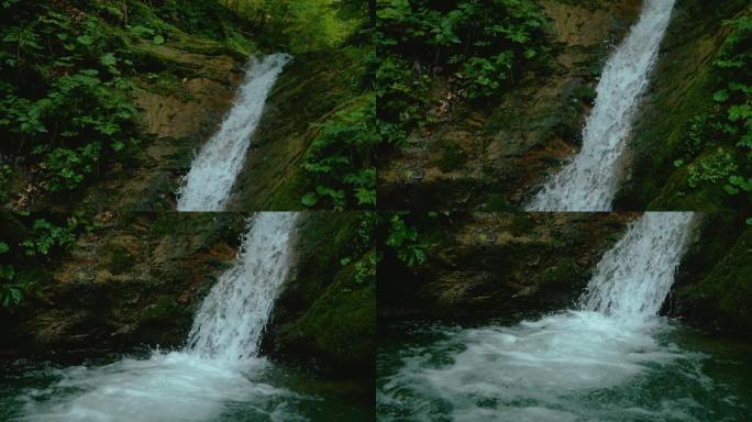 慢动作: 清爽的溪水从森林里长满苔藓的石头上流下。