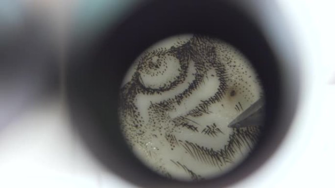 用显微镜在象牙上手工制作的Scrimshaw