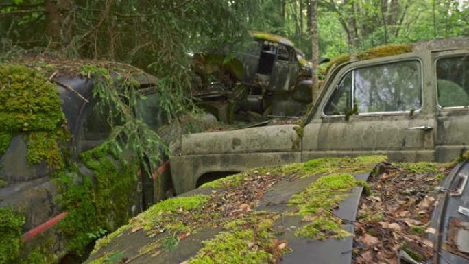 旧的废弃汽车上布满了污秽，铁锈和绿色的苔藓。Steadicam镜头，4K