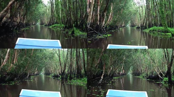 4k镜头在越南南部安江省廷边区湄公河三角洲旅行的Tra Su cajuputest森林鸟类保护区的场