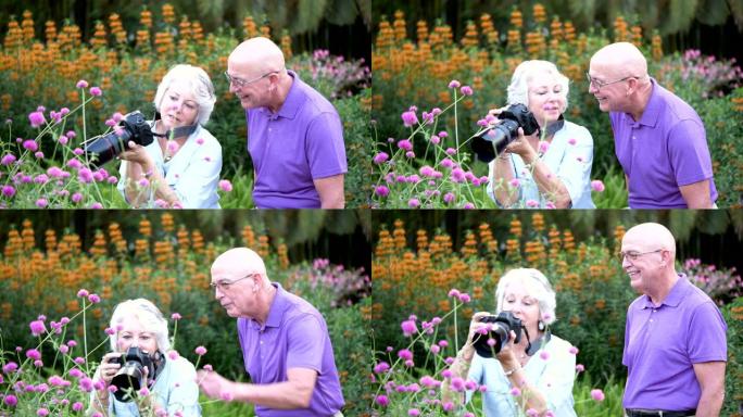 公园里的夫妇，拍摄鲜花