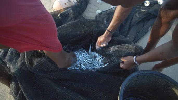 两名自给自足的渔民在莫桑比克塞纳河网检查他们捕获的小鱼的4k特写视图