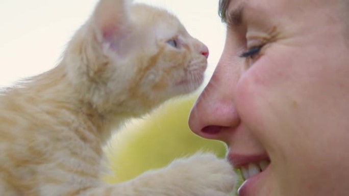 特写: 可爱的年轻白人妇女举起一只橙色的小猫。