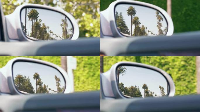 开车穿过加州有棕榈树的林荫大道