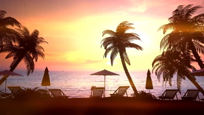日落时分有棕榈树的度假区。