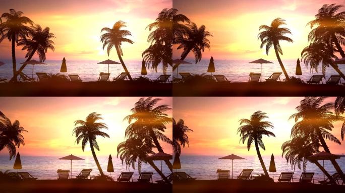 日落时分有棕榈树的度假区。