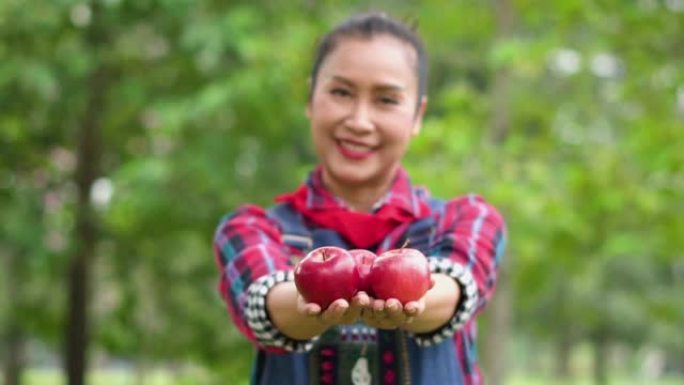 慢动作: 女农夫手里拿着苹果，她微笑着。