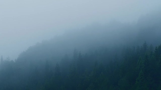 雾森林在晚上雾天航拍巫山云雨云雾缭绕