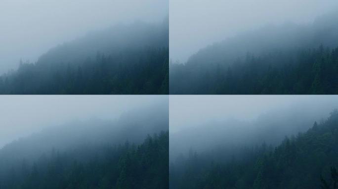 雾森林在晚上雾天航拍巫山云雨云雾缭绕