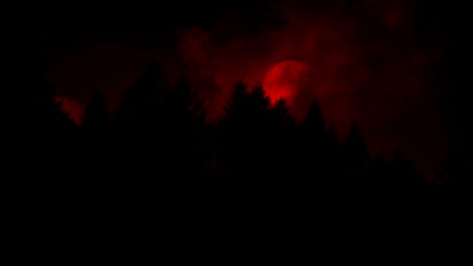 森林上方露出可怕的红色月亮