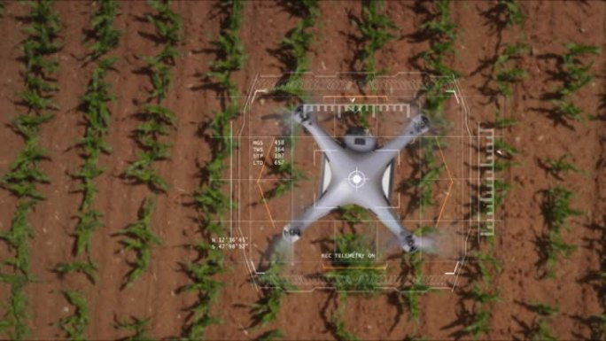 带有增强现实全息图的未来派创新匿名农学无人机的航拍正在检查阳光明媚的玉米田的发芽