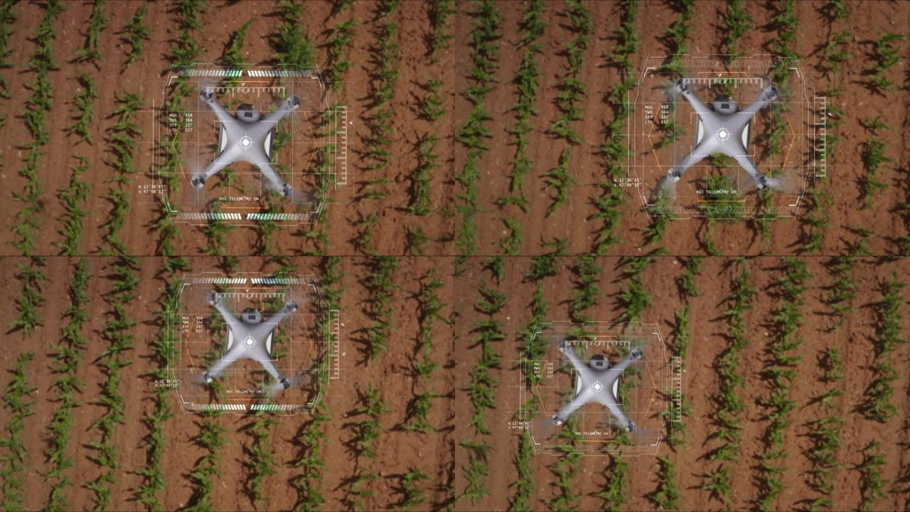 带有增强现实全息图的未来派创新匿名农学无人机的航拍正在检查阳光明媚的玉米田的发芽