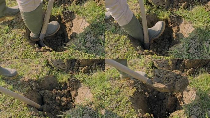 CU男性农民在泥土上挖洞种植