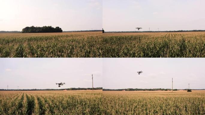 空中无人机飞越玉米田