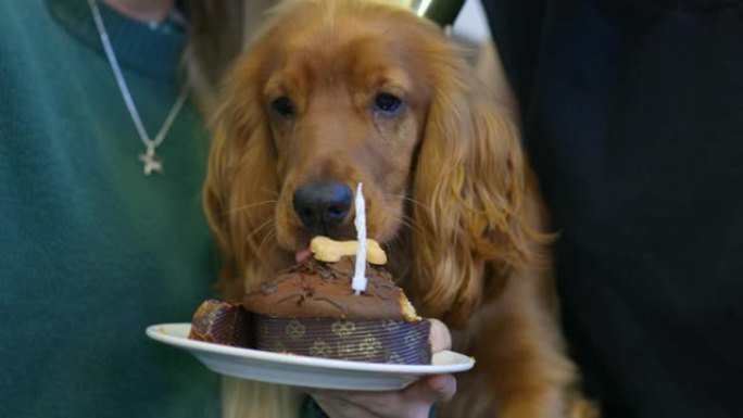 生日男孩喜欢他的蛋糕!