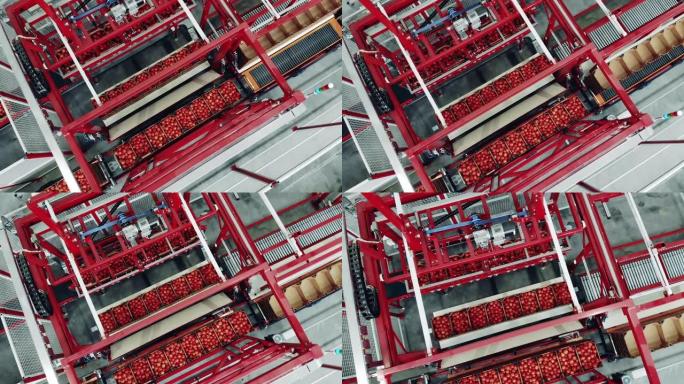工厂机制重定位番茄盒的俯视图