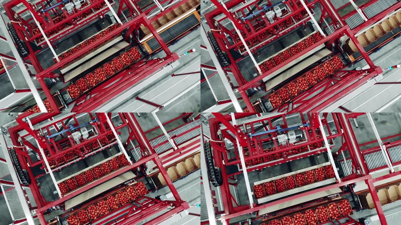 工厂机制重定位番茄盒的俯视图