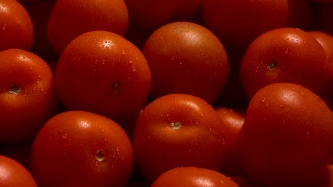 西红柿在细水喷雾中保持新鲜