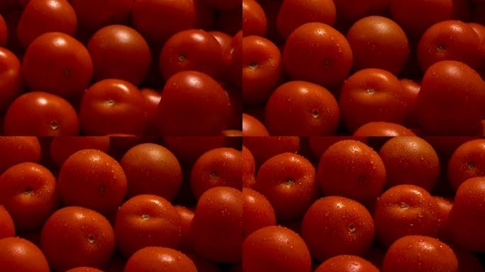 西红柿在细水喷雾中保持新鲜