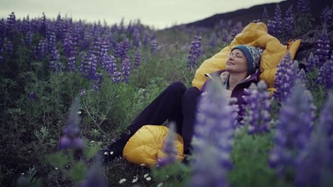 冰岛夏天。女性背包客在盛开的羽扇鱼草地上放松