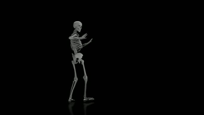 孤立的黑色背景上的骷髅舞蹈，带反射地板，无缝循环动画