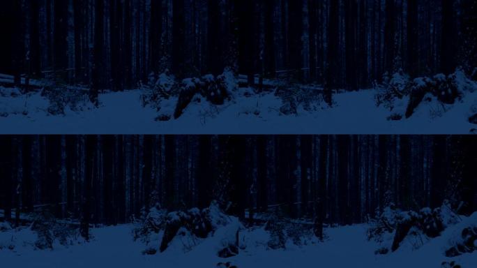 黑暗中穿过树林的雪道