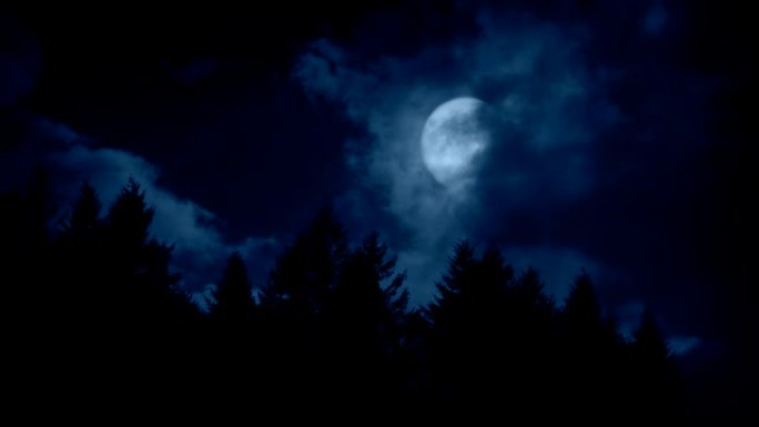 云朵在森林中移过月亮