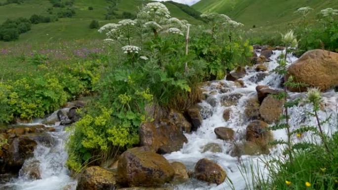 佐治亚州高加索山脉。山河，水最清澈，周围环绕着神话般的绿色植物和古老的石头。Steadicam sh