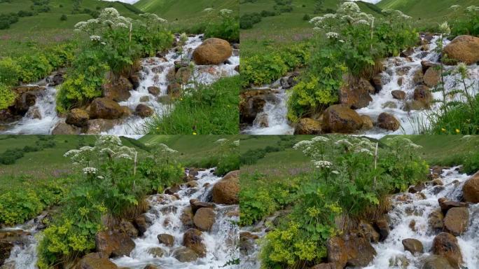 佐治亚州高加索山脉。山河，水最清澈，周围环绕着神话般的绿色植物和古老的石头。Steadicam sh