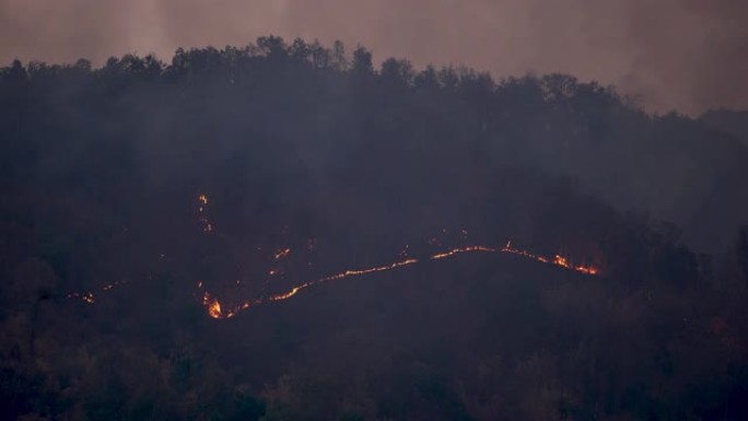 山坡野火夜景拍摄自然大自然