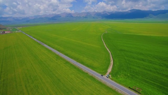 鸟瞰一望无际的绿色麦田里的道路