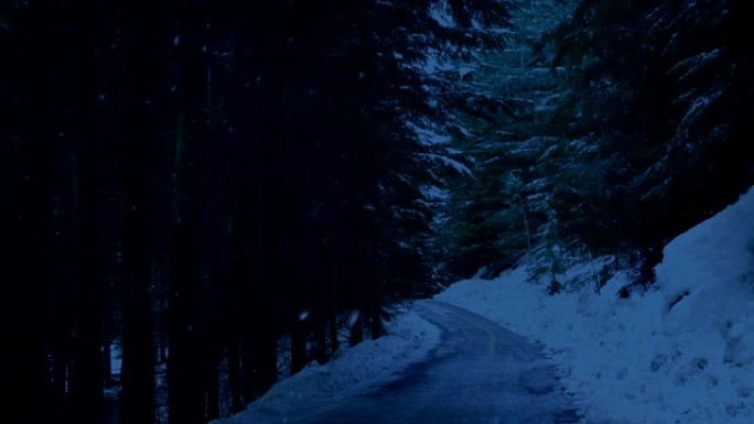 夜间降雪穿越森林的道路