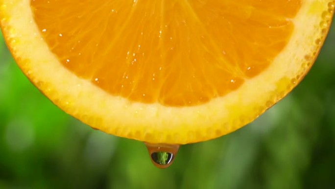 慢镜头:从一片葱郁的树叶上滴下一滴水
