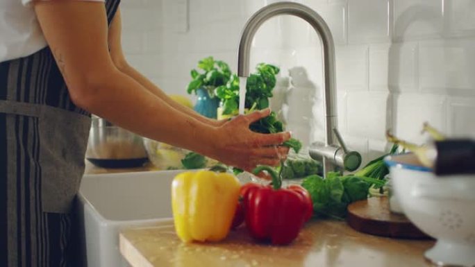 慢动作特写镜头，一个男人用自来水洗绿色菠菜叶。正宗的时尚厨房配健康蔬菜。有机农业手工清洗的天然清洁产