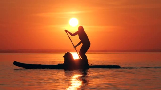 太阳下山时，年轻女子正在和她的狗一起冲浪