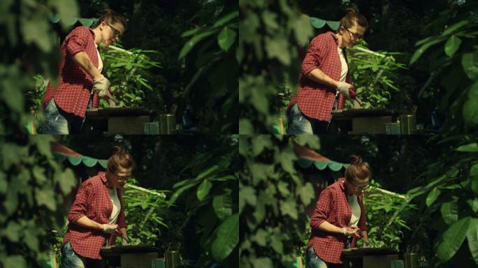 花园DIY。妇女擦拭木制家具。