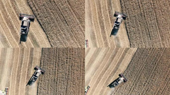 收获机的俯视图-脱粒机收集小麦