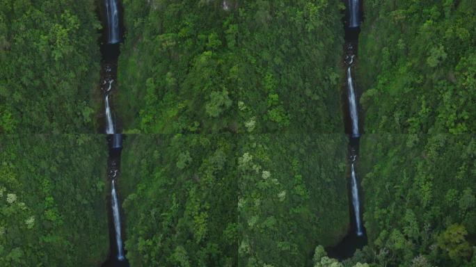 丛林瀑布自然保护生态旅游科普探秘