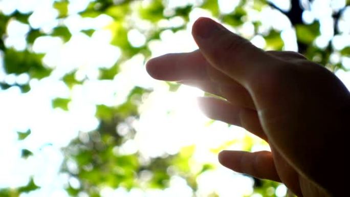 阳光通过人的手指视频素材