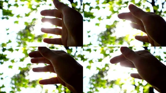 阳光通过人的手指视频素材
