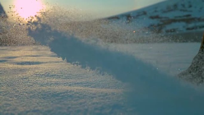 慢动作特写: 冬季日落时马走槽新鲜雪毯