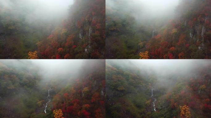 森林瀑布的鸟瞰图秋叶森林变色