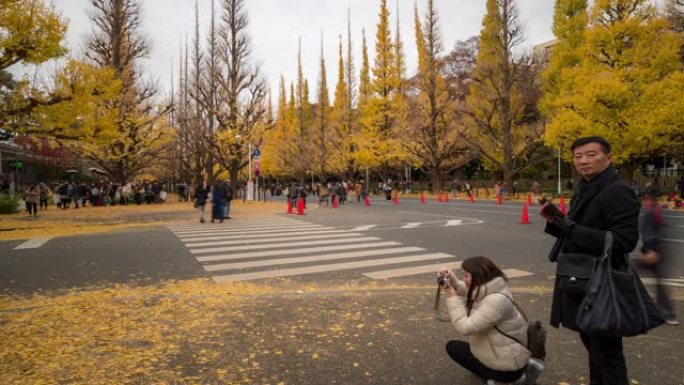 延时: 行人拥挤在延时: 日本东京青山明治神宫花园，苹果ProRes 422 (HQ) 3840x2