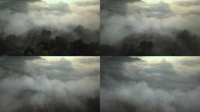 雾的鸟瞰图流过泰国北部的雨林山