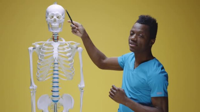 年轻人解释人体解剖学