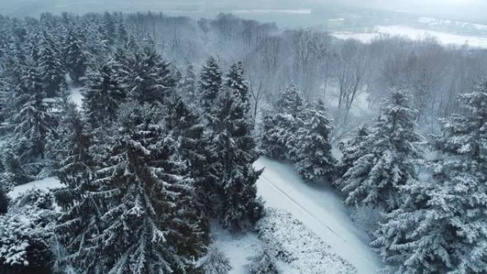 鸟瞰冬季公园积雪覆盖的小路。