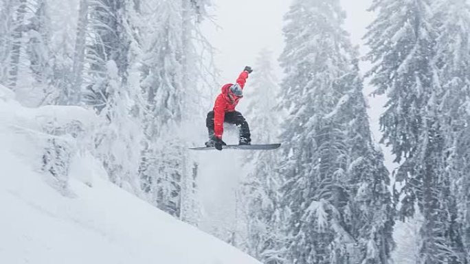滑雪板跳跃，被积雪覆盖的树木包围