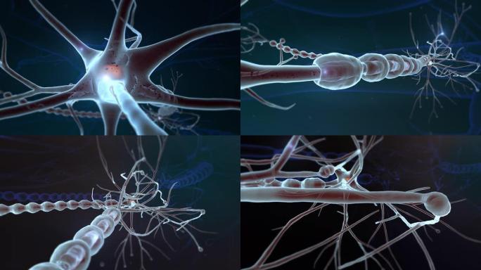 在未来科学实验室中，用显微镜分析了微型高科技神经元细胞冲动转移过程的慢动作宏，用于生物化学和dna研