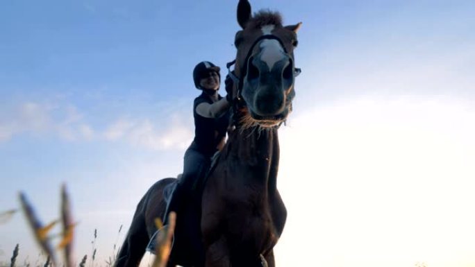 女人坐在户外的一匹马上，特写镜头。女运动员在田野里骑马。