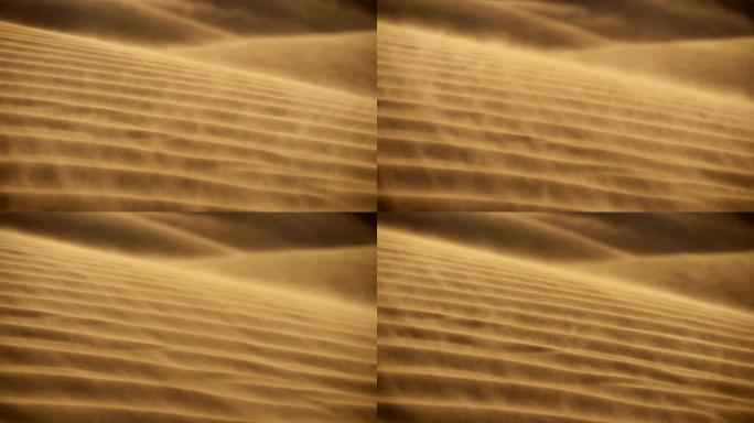 抽象沙丘沙漠背景。黄金色的沙子在风中呈旋风状。慢动作镜头